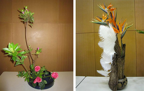 http://www.wochikochi.jp/english/foreign/ikebana_africa12.jpg