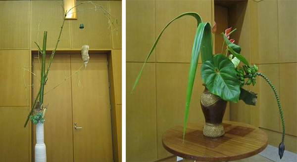 http://www.wochikochi.jp/english/foreign/ikebana_africa14.jpg