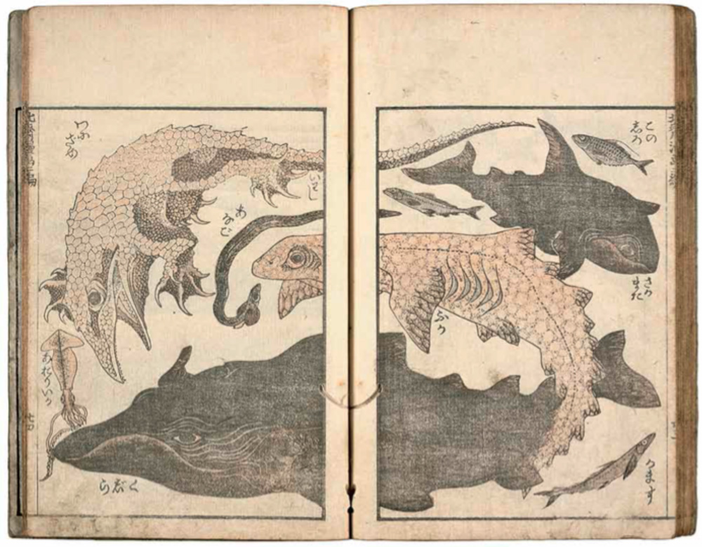 http://www.wochikochi.jp/english/topstory/hokusai_berlin06.jpg