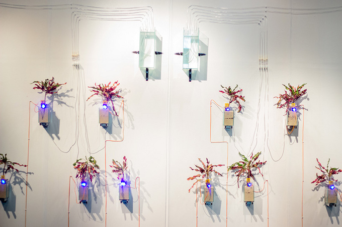 Bridge_mediaartkitchen02.jpg