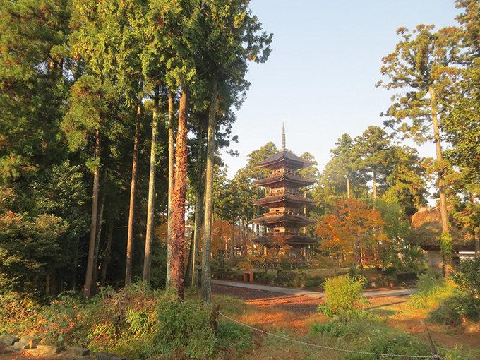 cultural_exchange_niigata05.jpg